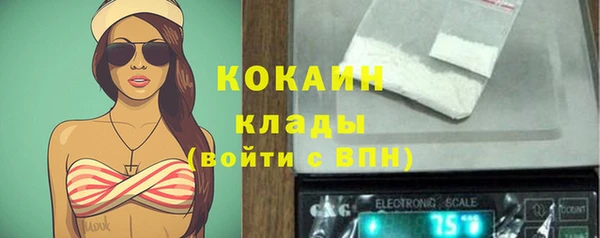 шишки Аркадак