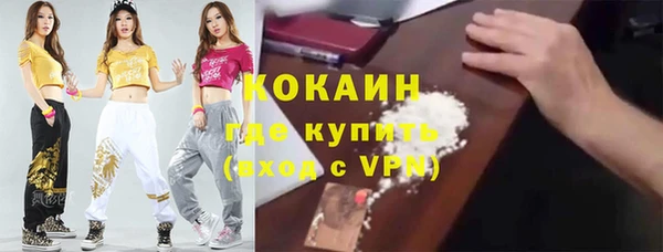 шишки Аркадак