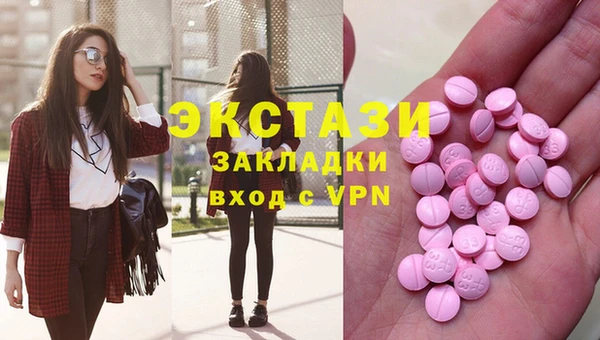 шишки Аркадак