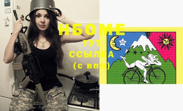 шишки Аркадак