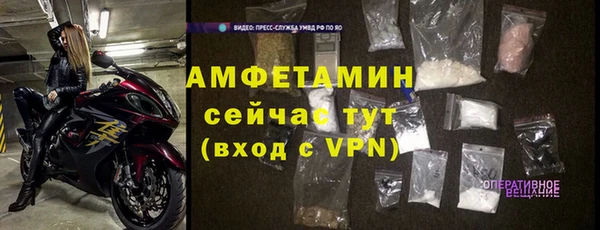 шишки Аркадак