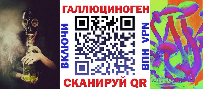 магазин Болхов Псилоцибиновые грибы Psilocybine cubensis